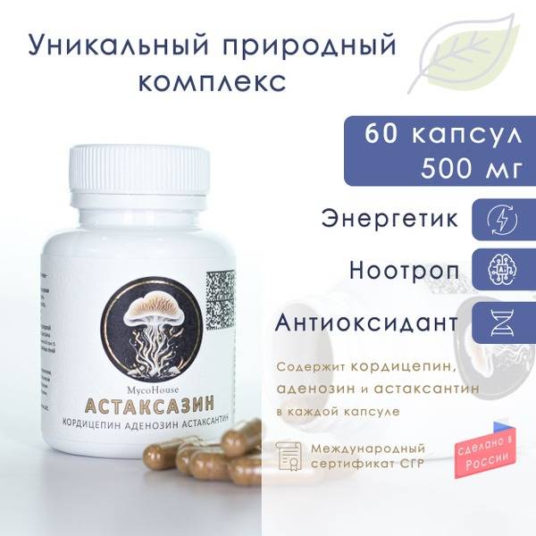 Lion's Mane & Cordyceps Militaris Immune & Beauty Supplement - 60 Capsules