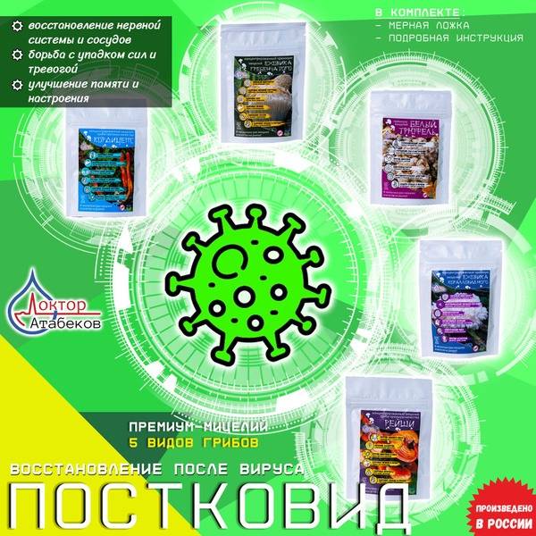 Post-COVID Recovery: Premium 5-Mushroom Mycelium Blend (300g)