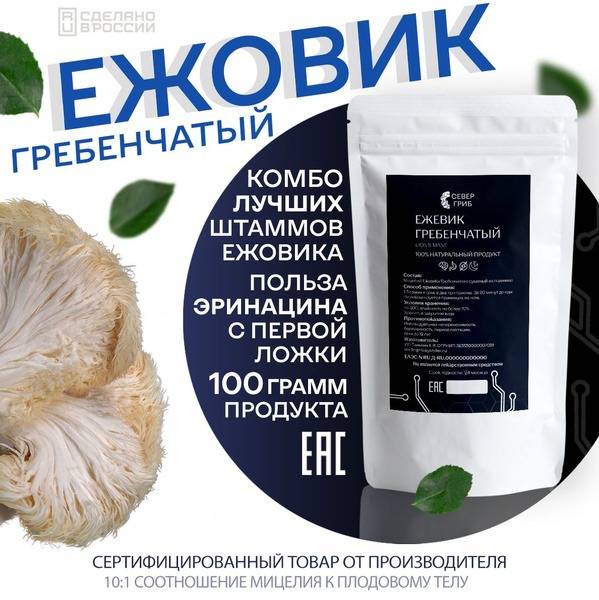 SeverGrib Hedgehog Powder Microdose 100g, Mycelium and Fruiting Body, Mix