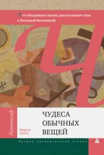Чудеса обычных вещей. Поразительная физика наших дней | The Wonders of Ordinary Things: Astonishing Physics of Today
