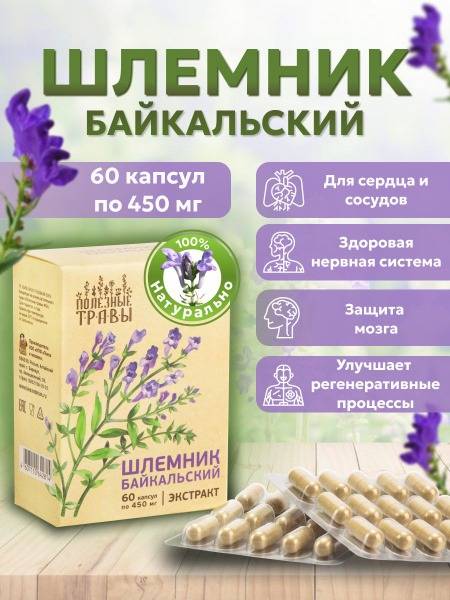 Baikal Skullcap Root Extract Capsules (60 Count) - Natural Heart & Brain Health Support