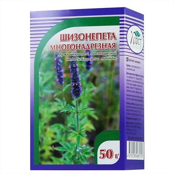 Schizonepeta Herbal Cough Remedy & Immune Support (50g)