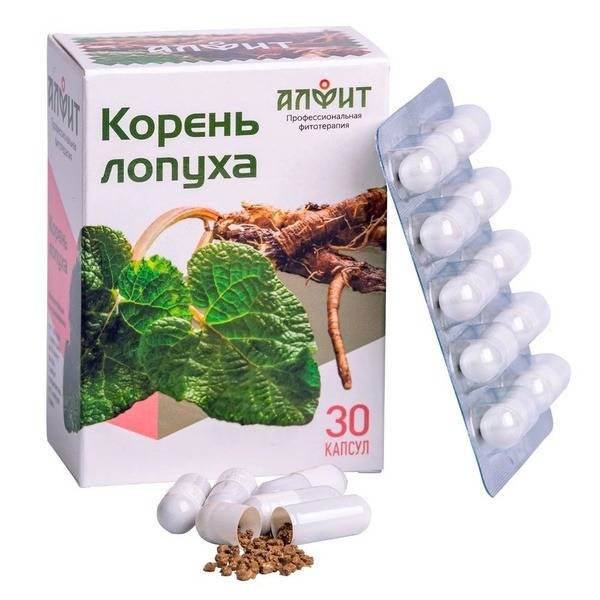 Burdock Root Extract Capsules: Diuretic & Cholagogue (30 Count) - Alfit
