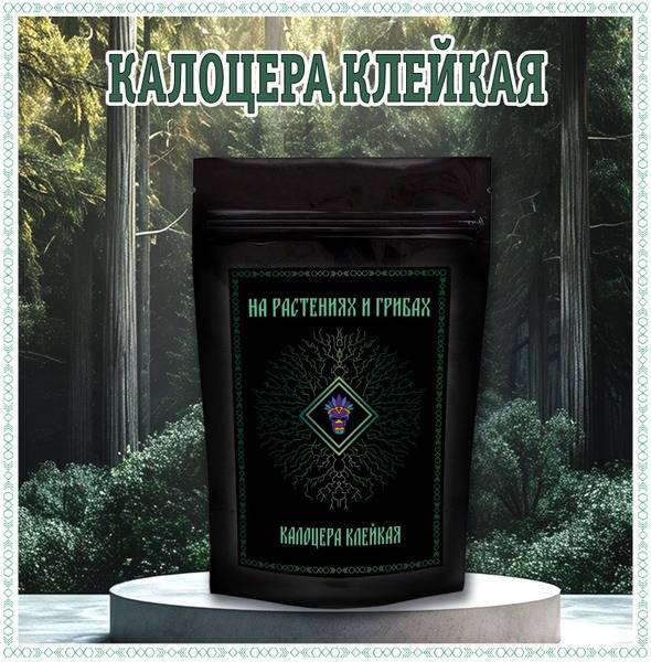 Premium Calocera Viscosa Mycelium Microdosing (50g)