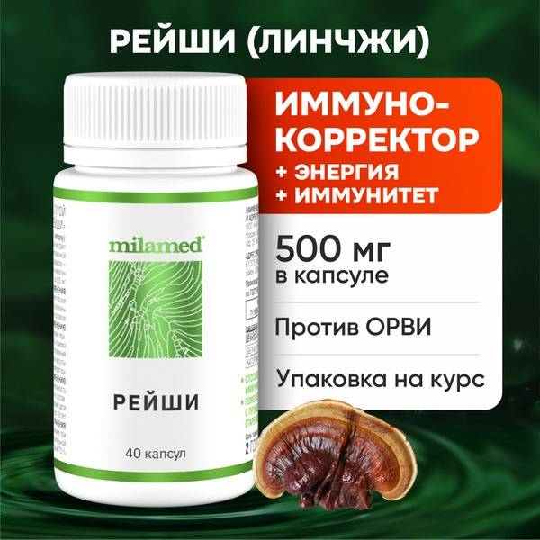 Reishi Mushroom Capsules for Immunity - 40 Count