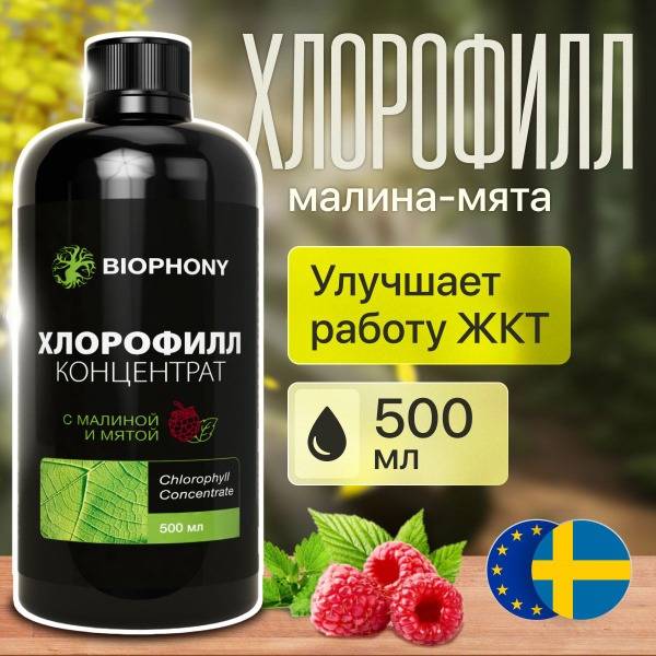 Liquid Chlorophyll Bio Food Supplement - Raspberry Mint (500ml)