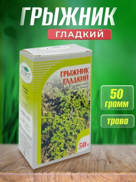 Smooth Gromwell Horst 50g