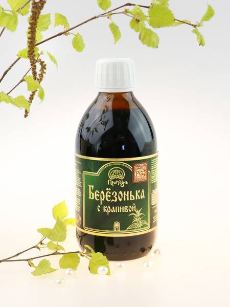 Promed Chaga Water Extract with Nettle 300 ml