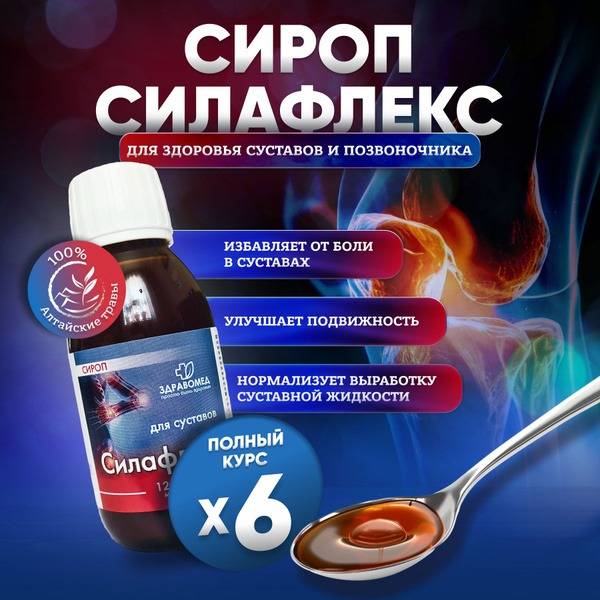 Joint & Ligament Support: Glucosamine & Chondroitin (Silaflex)