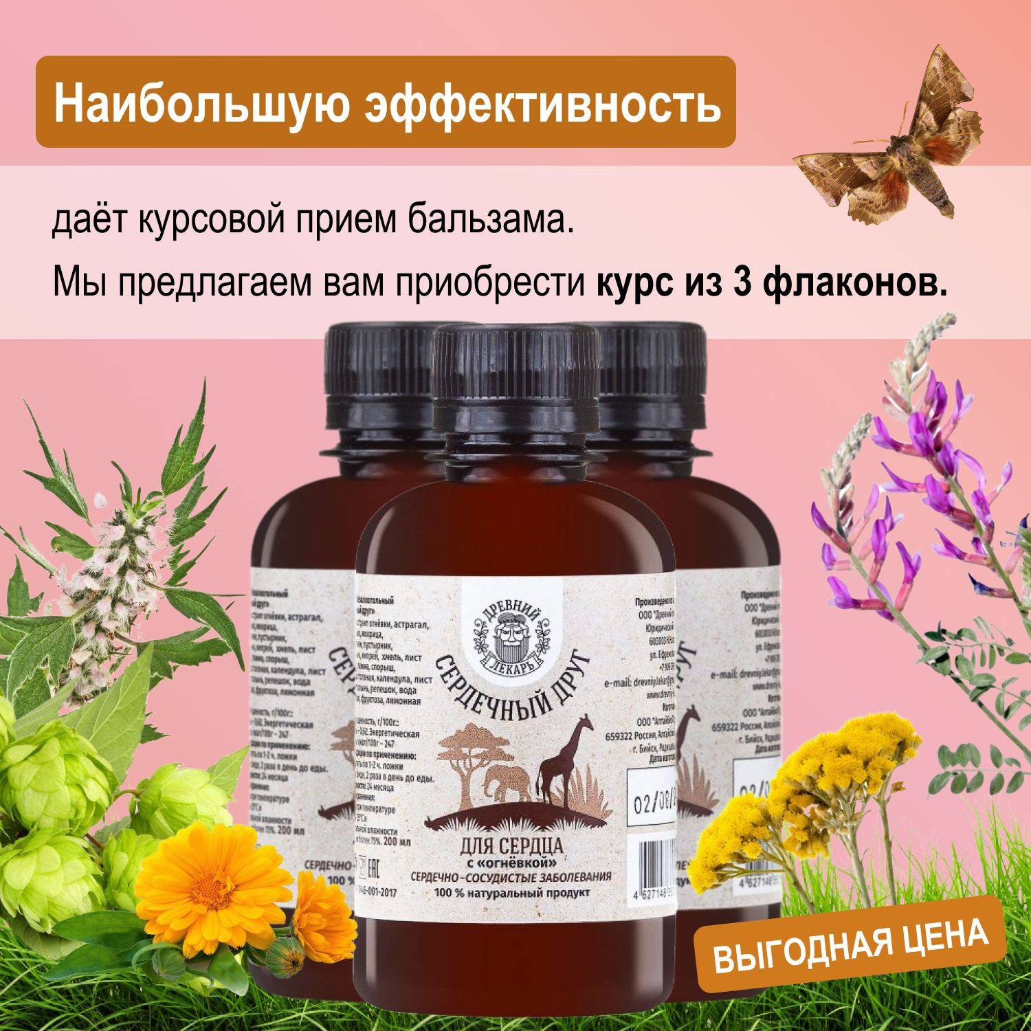 DREVNII LEKAR Heart Balm 'Heart Friend', 3 Bottles, 600 ml #2