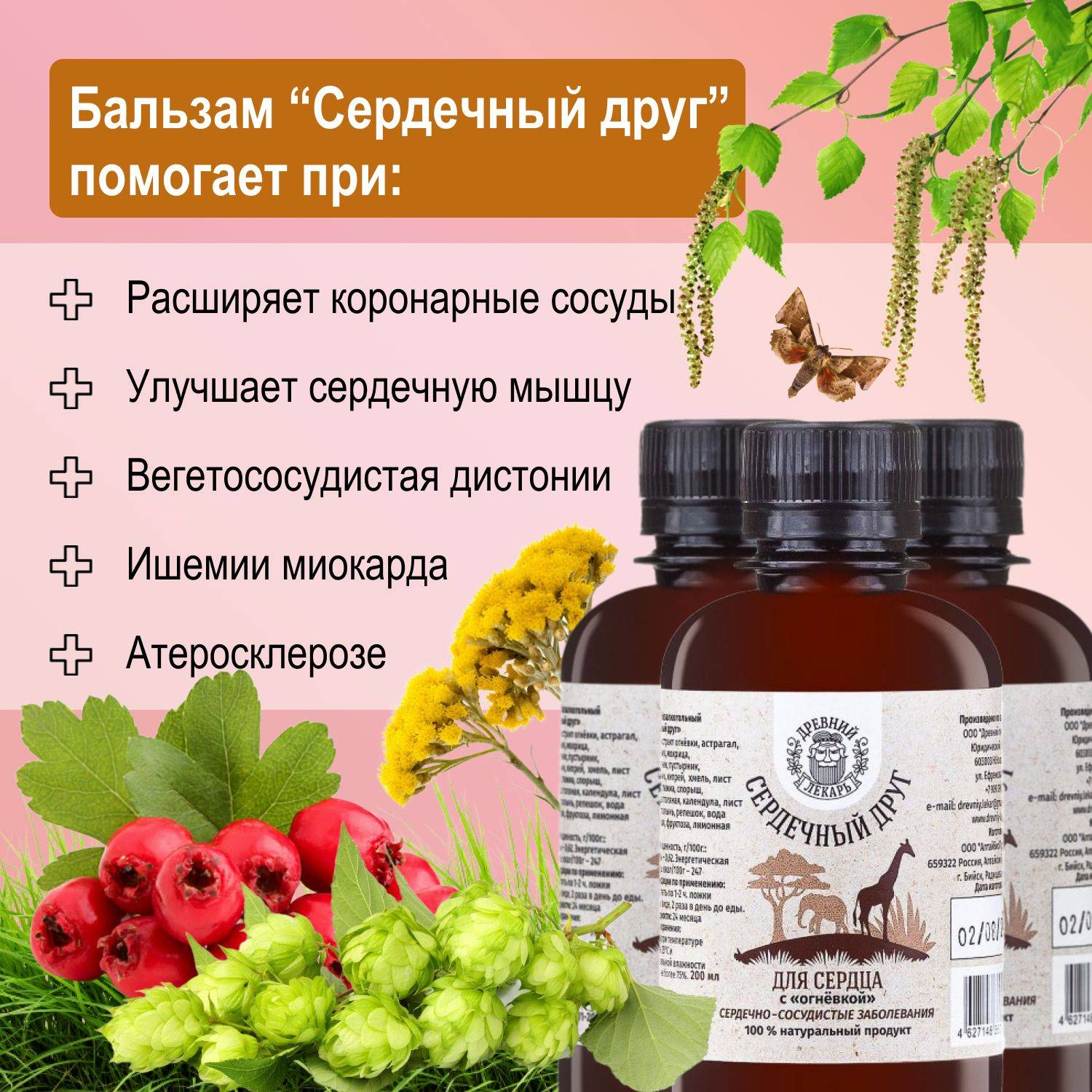 DREVNII LEKAR Heart Balm 'Heart Friend', 3 Bottles, 600 ml #3