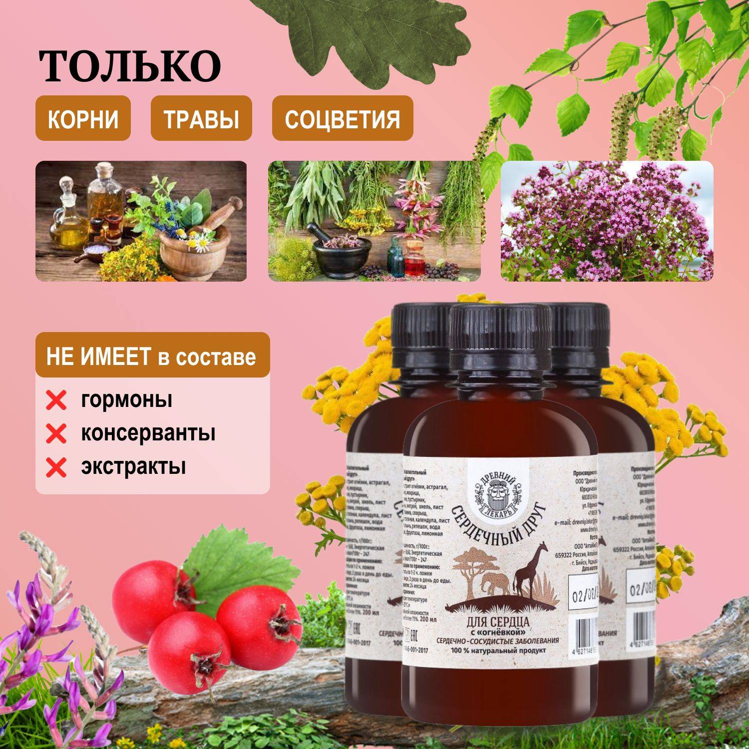 DREVNII LEKAR Heart Balm 'Heart Friend', 3 Bottles, 600 ml #5