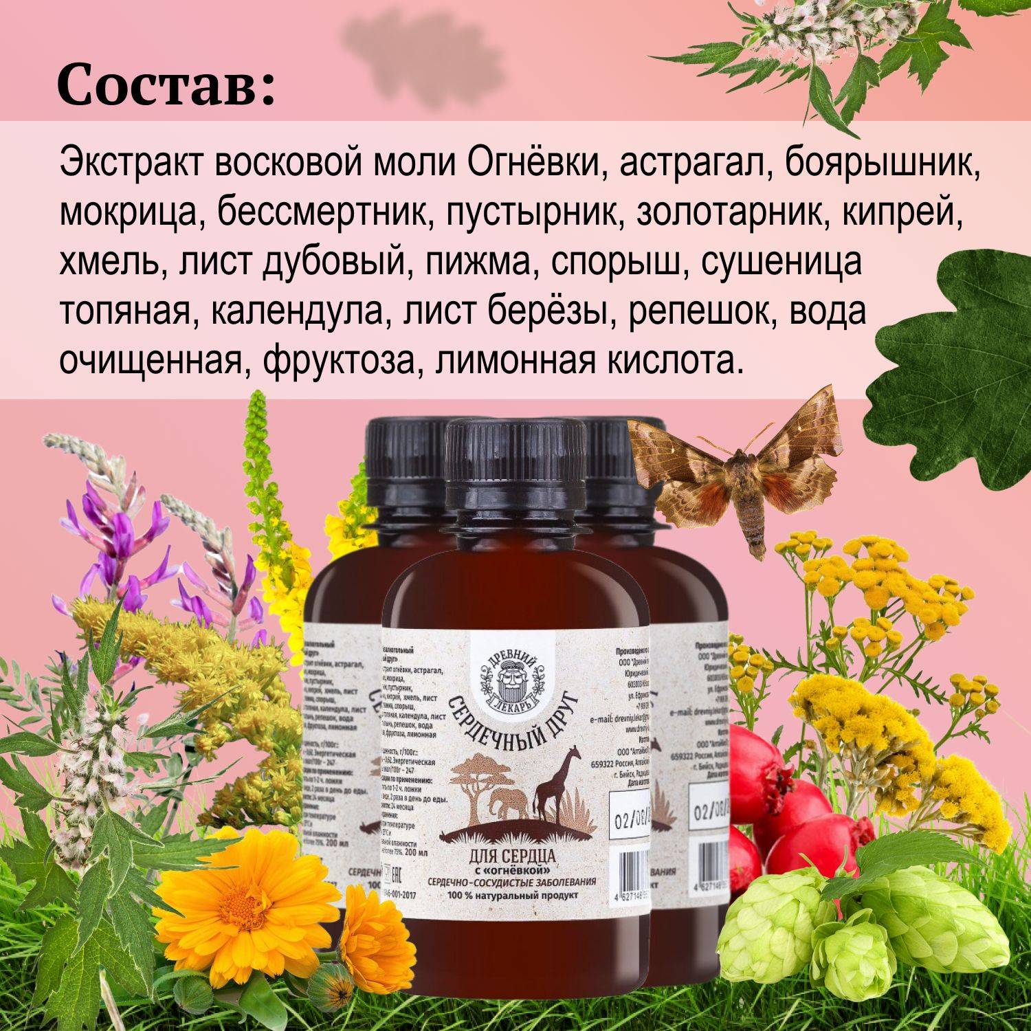 DREVNII LEKAR Heart Balm 'Heart Friend', 3 Bottles, 600 ml #6