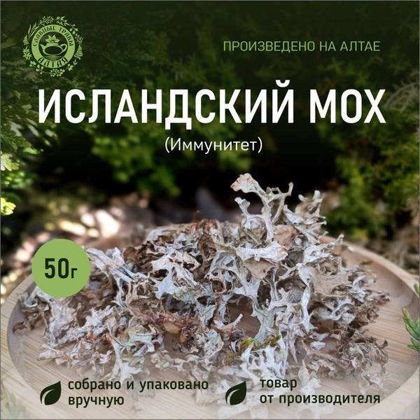 Icelandic Moss: Altai's Natural Antibiotic for Coughs, Colds & Immunity