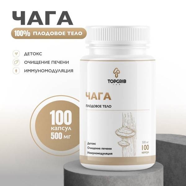 Chaga Mushroom Capsules: 100 x 500mg