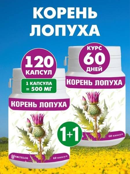 Burdock Root Capsules (120 Count)