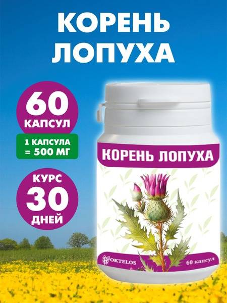 Burdock Root Capsules (60 Count)