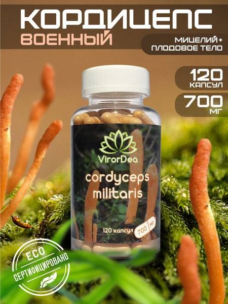 Cordyceps Militaris 700mg: Boost Immunity, Energy & Libido (120 Capsules)