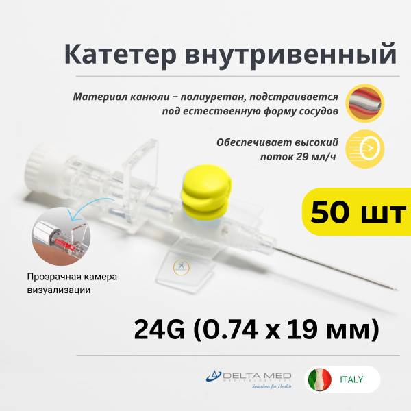 Intravenous 24G Polyurethane Catheter with Port and Wings x 50 Shipment Delta Med Italy