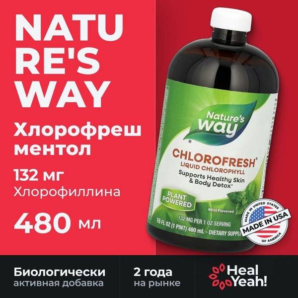 Nature's Way Chlorofresh Liquid Chlorophyll, Mint Flavor, 473.2 ml