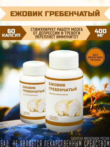 Optisalt Lion’s Mane (Hericium erinaceus) 60 Capsules