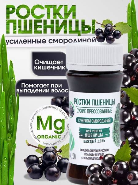 Wheatgrass & Blackcurrant Pressed Tablets - 28 Day Supply (140 Tablets)