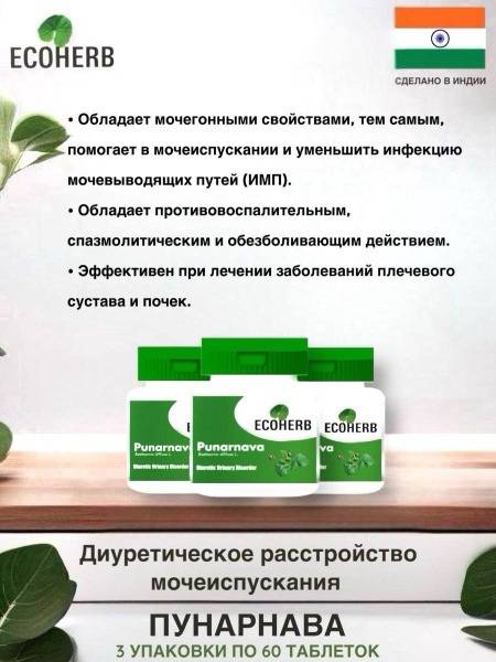 Punarnava Herbal Supplement for Urinary Tract Health (3 x 60 Tablets)