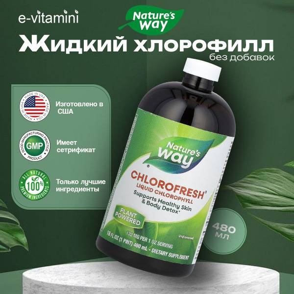 Nature's Way Chlorofresh Liquid Chlorophyll (480ml)