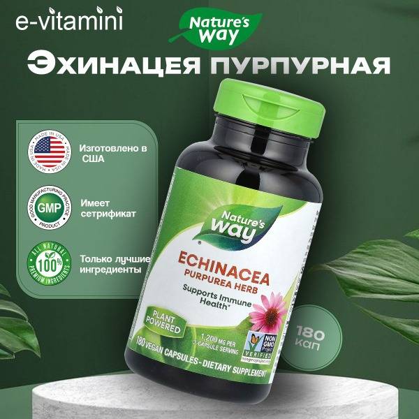 Nature's Way Echinacea Immune Support Supplement - 400mg, 180 Capsules