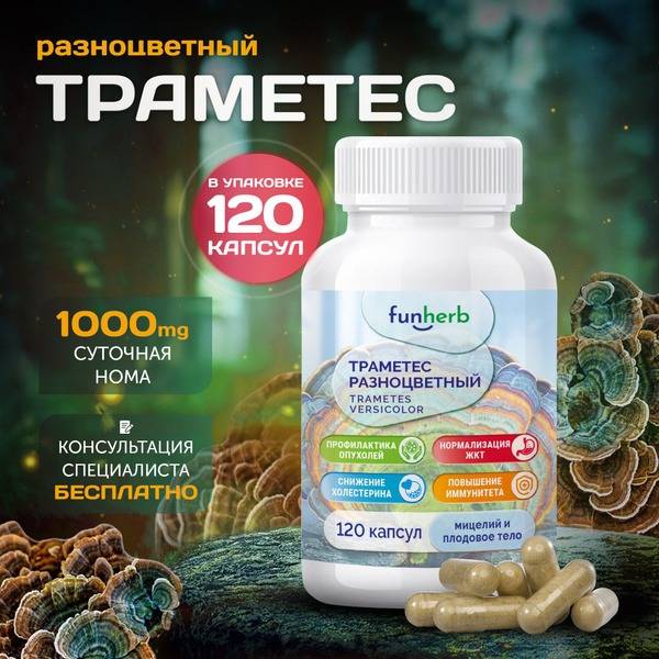 Trametes Versicolor: Boosting Longevity & Immunity