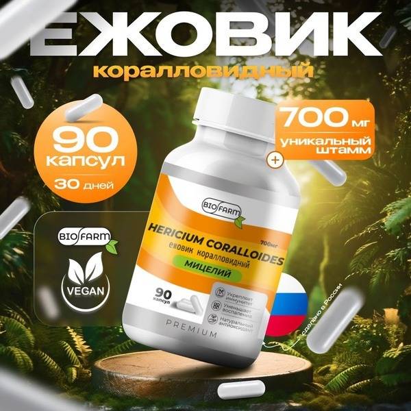 Lion's Mane Mushroom Powder (700mg) - Microdosing