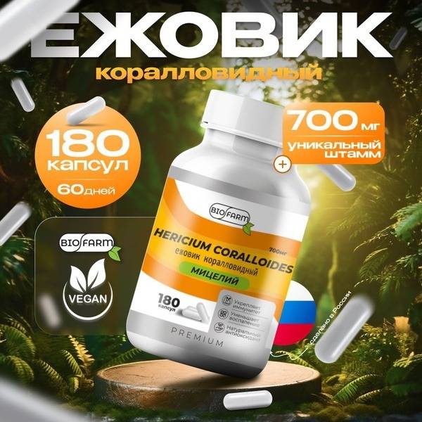 Lion's Mane Mushroom Powder 700mg - Microdosing
