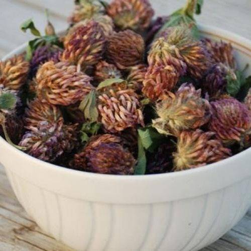 Dried Clover Flowers 20g