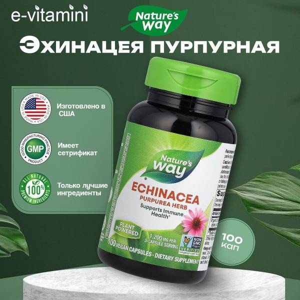 Nature's Way Echinacea Purpurea Dietary Supplement, 100 Capsules