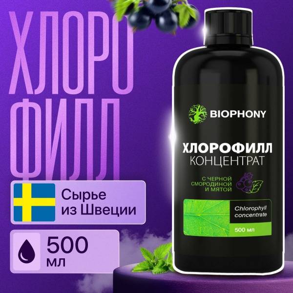 Liquid Chlorophyll 500ml Blackcurrant Mint Bio Food Supplement