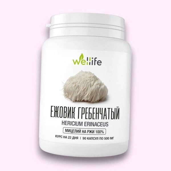Lion's Mane Mushroom Mycelium Capsules (90 x 500mg)