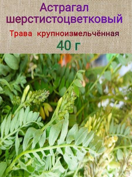 Astragalus Root: Benefits, Uses & Side Effects