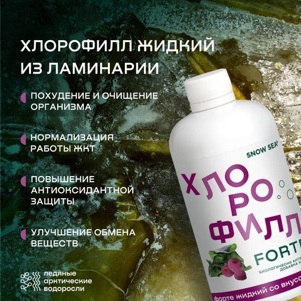 Liquid Chlorophyll Supplement for Gut Health, Detox & Weight Management (450ml)
