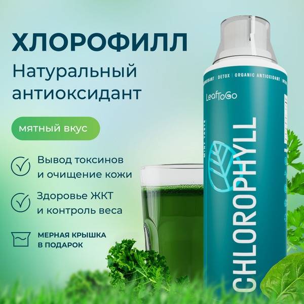 LeafToGo Liquid Chlorophyll Dietary Supplement, Mint, 500 ml