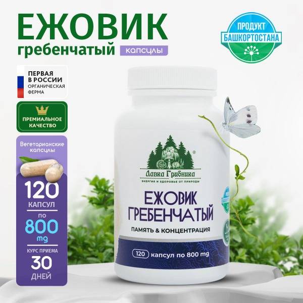 Lion's Mane Mushroom Capsules: 120 x 800mg