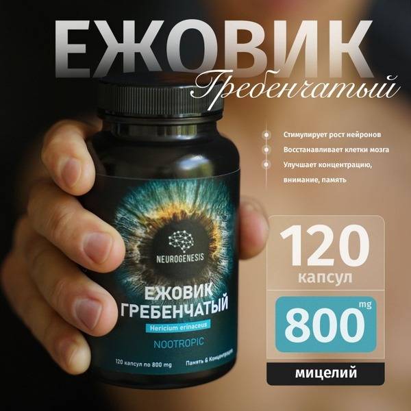 Lion's Mane Mushroom Microdosing Capsules: 120 x 800mg, Neurogenesis Support