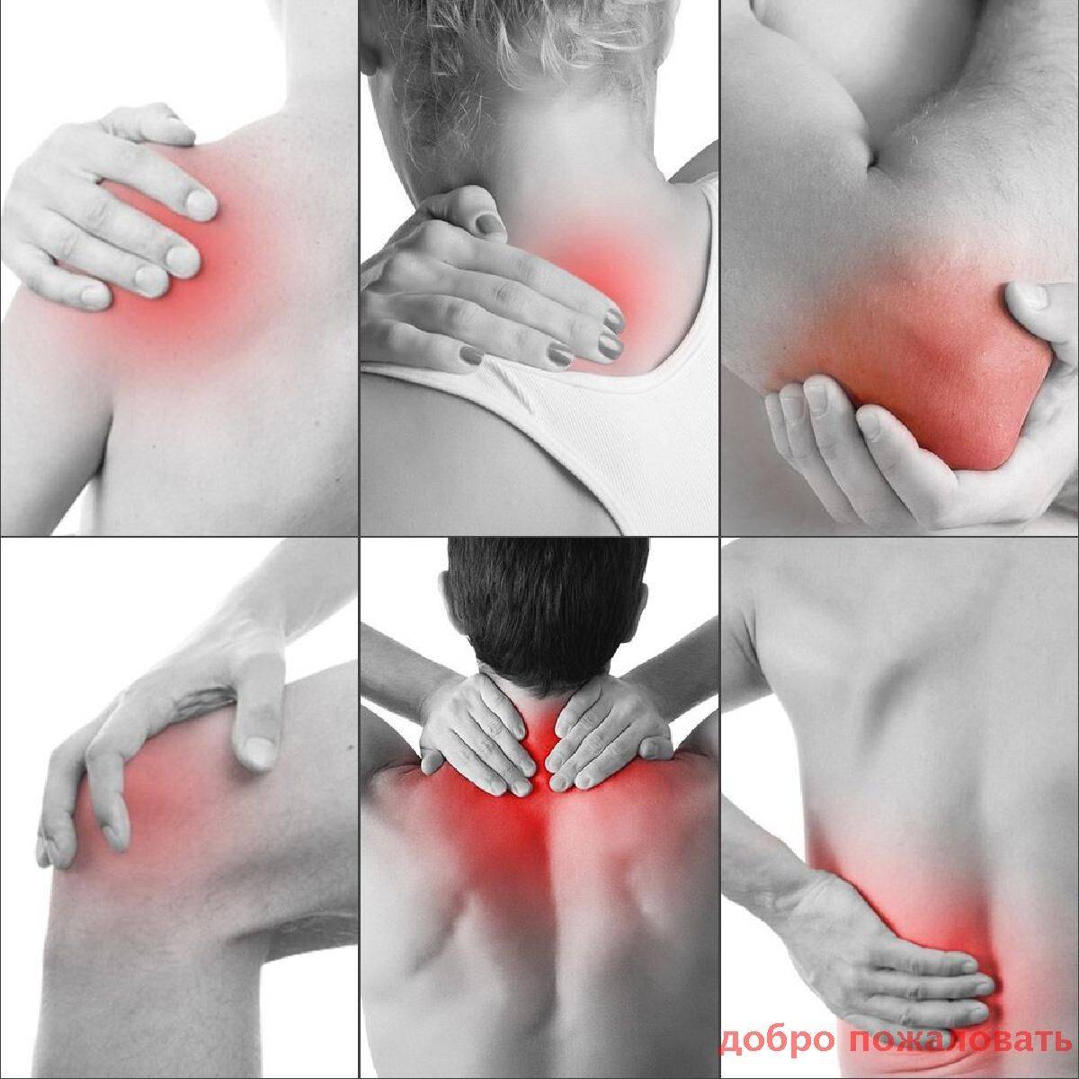 Welcome 8-Pack Healing Bandage with Scorpion Venom for Rheumatoid Arthritis and Back Pain Relief #5