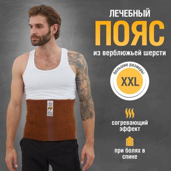 Healspells Camel Wool Back & Lumbar Support Belt – XL (Size 7)