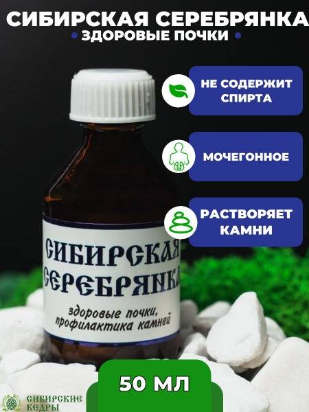 Siberian Cedars Diuretic Balm for Kidney and Bladder Health, 50 ml