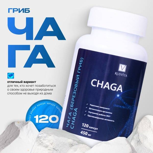Chaga Mushroom Capsules (120 x 450mg) - GHAGA