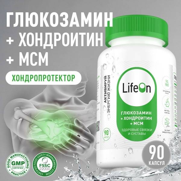 Glucosamine Chondroitin MSM 90 Capsules: Joint & Ligament Support
