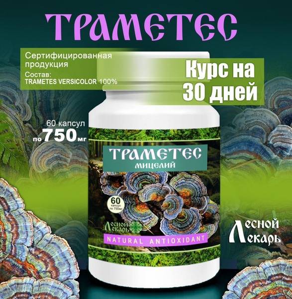 Turkey Tail Mushroom Mycelium