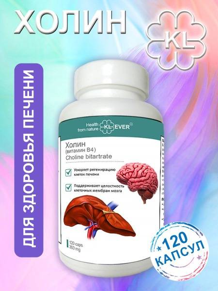 Choline (Vitamin B4): 120 Capsules for Liver & Brain Health