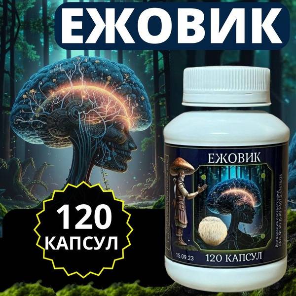 Lion's Mane Mushroom Capsules (120 x 350mg) - Premium Nootropic & Immune Support
