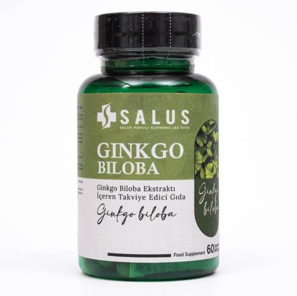 Ginkgo Biloba 540mg, 60 Capsules (Turkey)